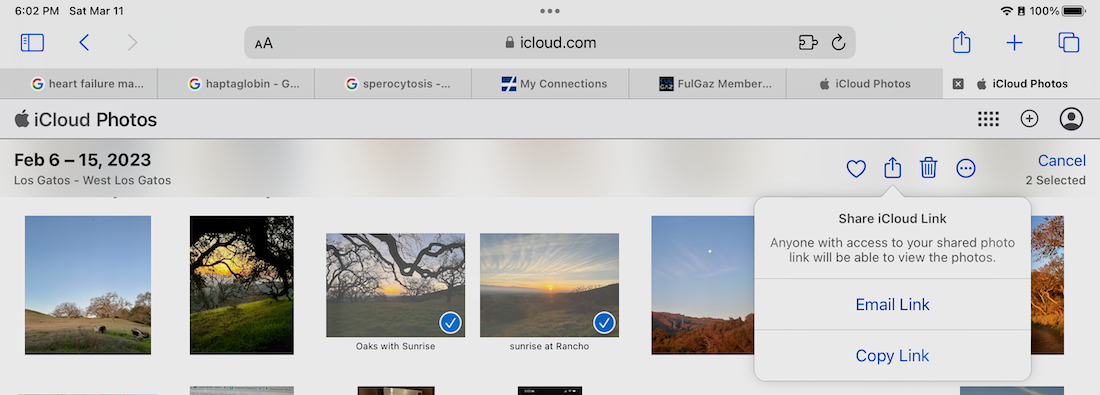 icloud.com choose link type